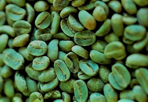 Hình ảnh Cà phê Arabica